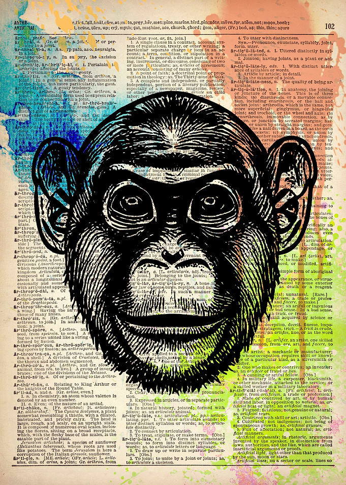 Monkey head ILLUSTRATION