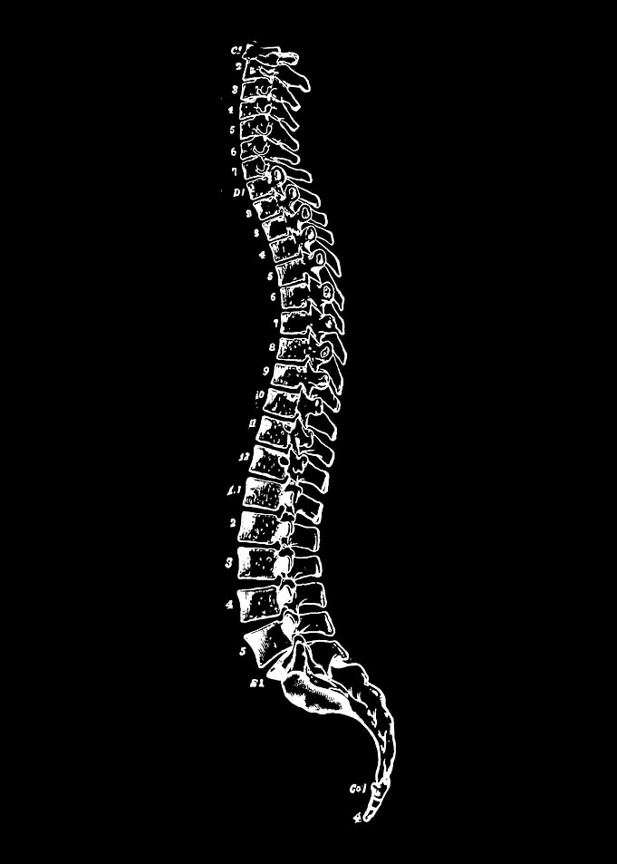 Osteopath Chiropractor Art