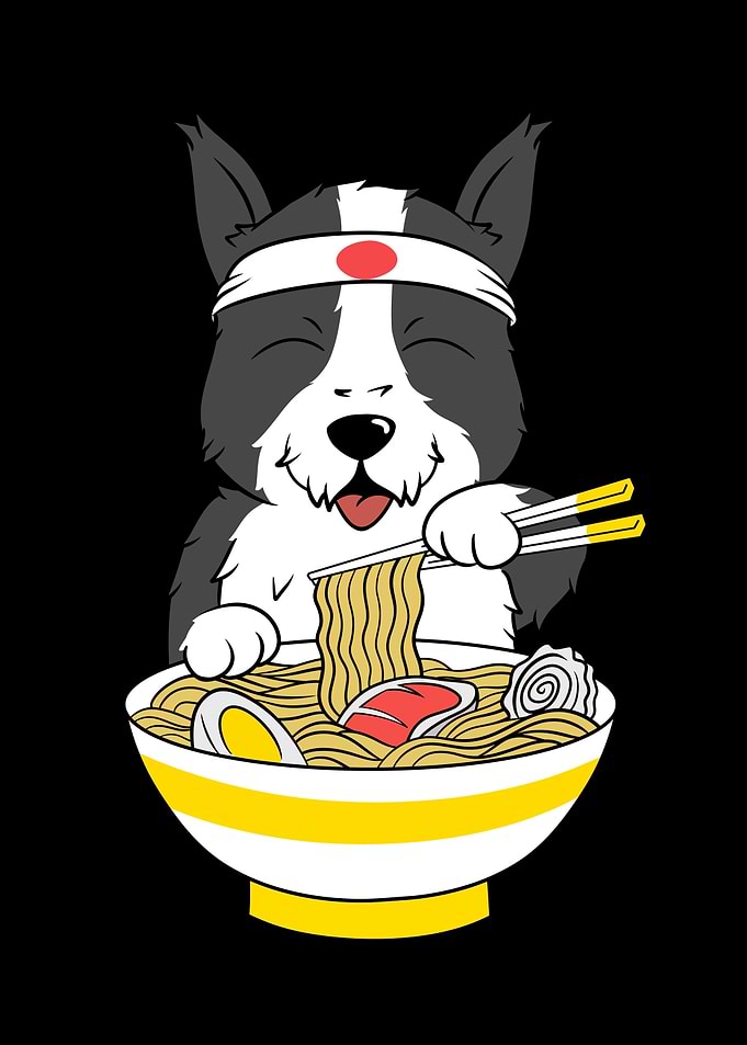 Border Collie Ramen