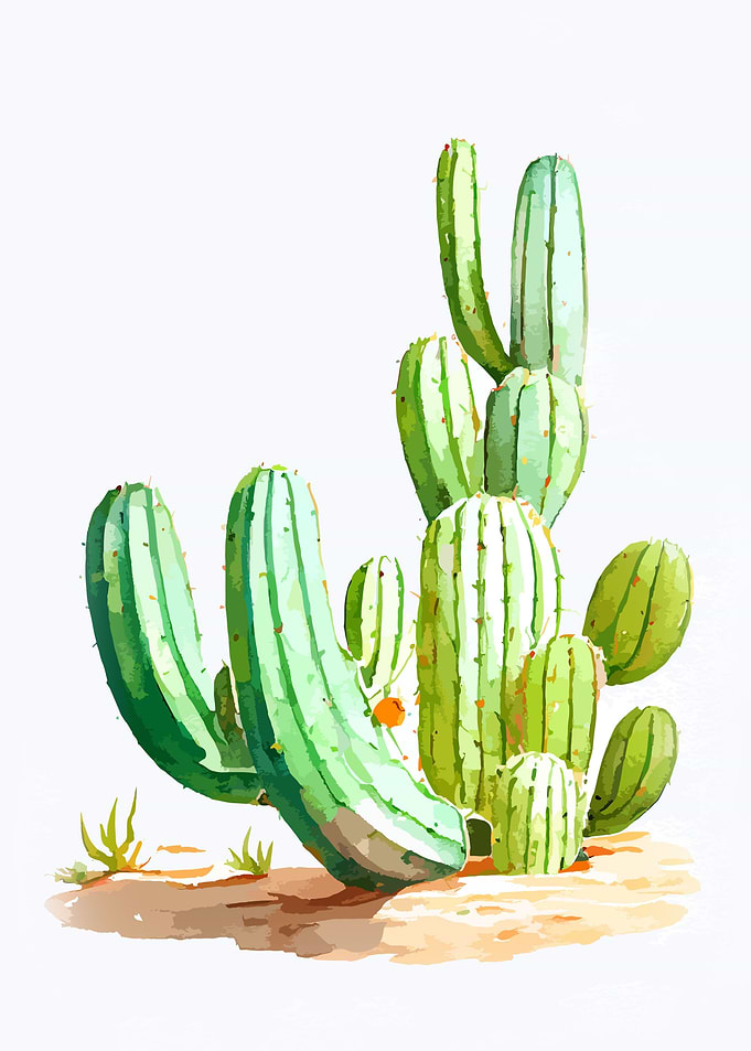 Cactus Plant