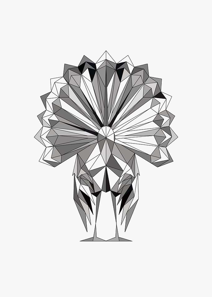 Turkey Lowpoly Half Frame