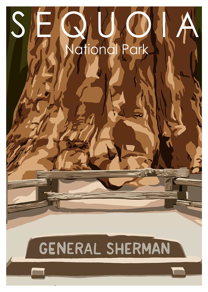 Sequoia