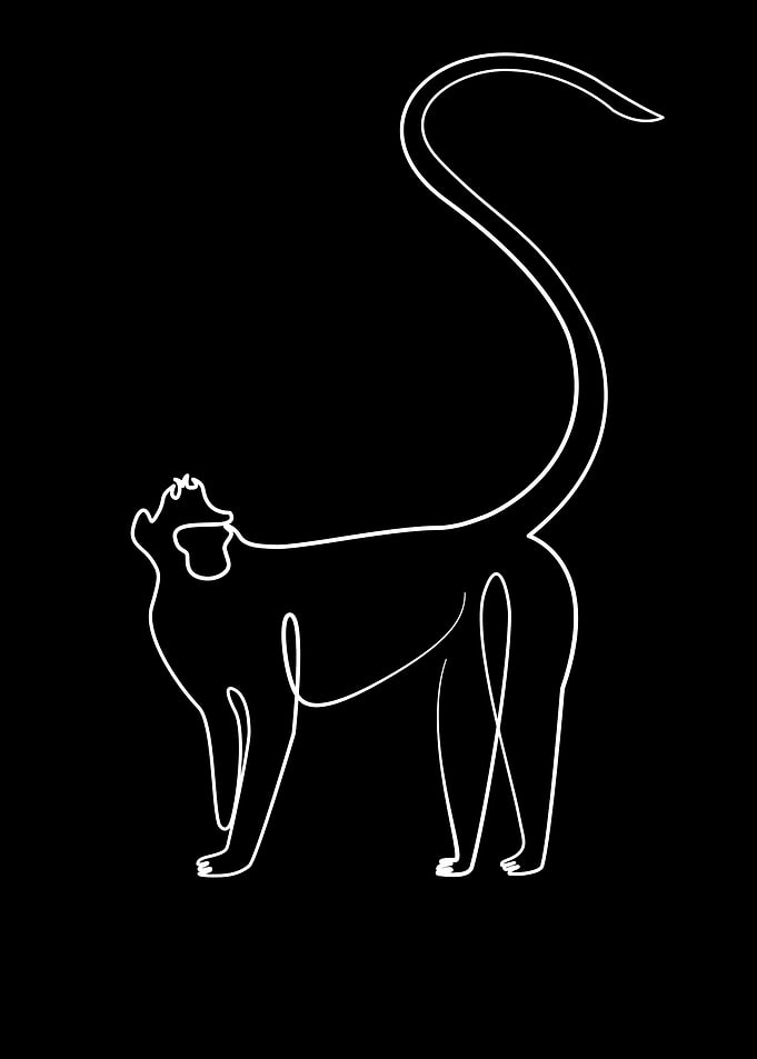 One Line Art Monkey