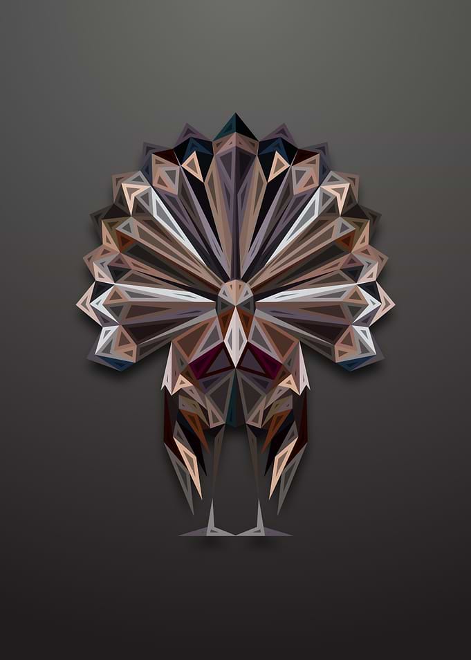 Turkey Lowpoly Engraved