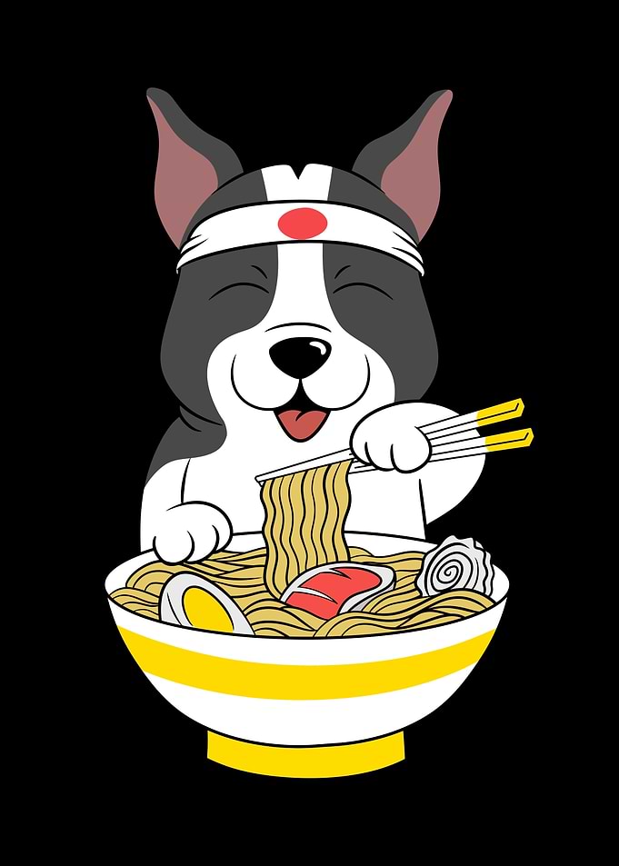 Boston Terrier Ramen