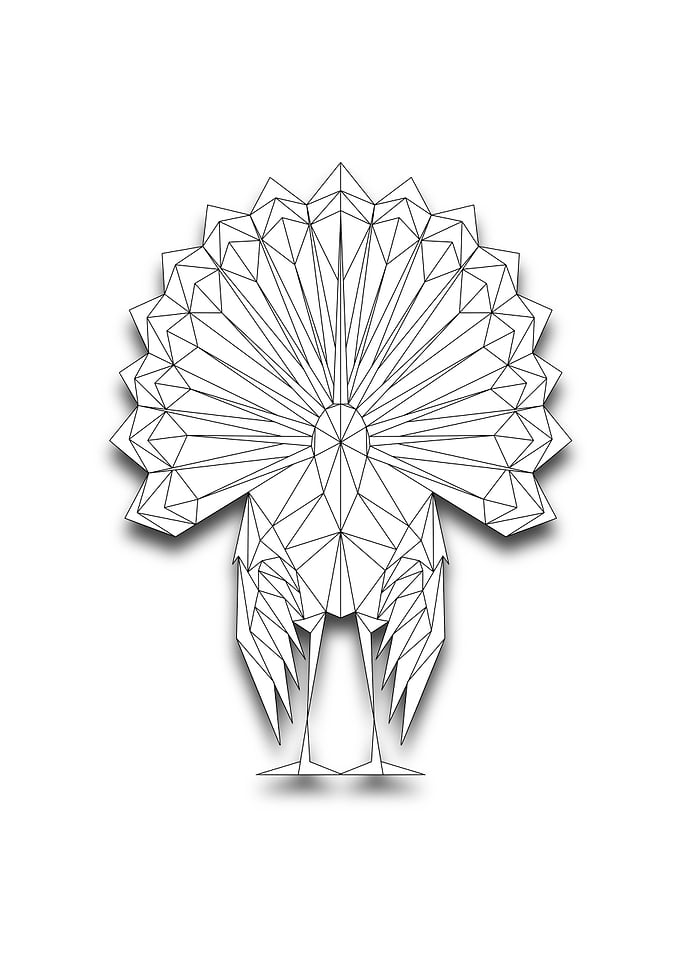 Turkey Lowpoly Wireframe