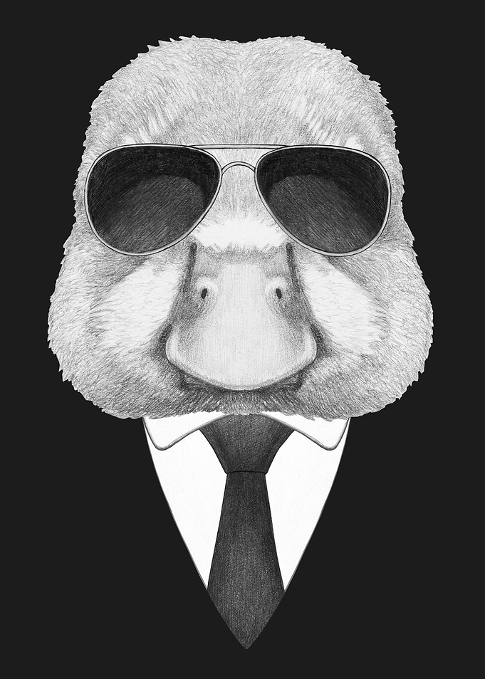 Portrait of Duck in suit