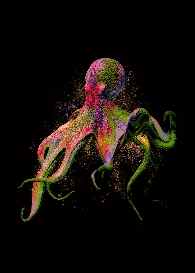 Colorful Octopus