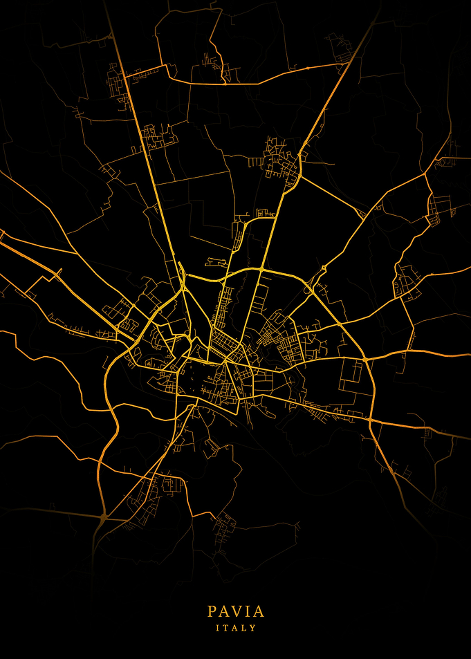 Pavia City Map Gold