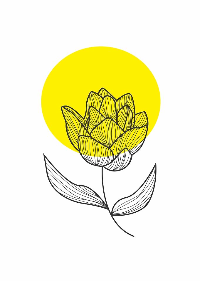 sun and flower 3