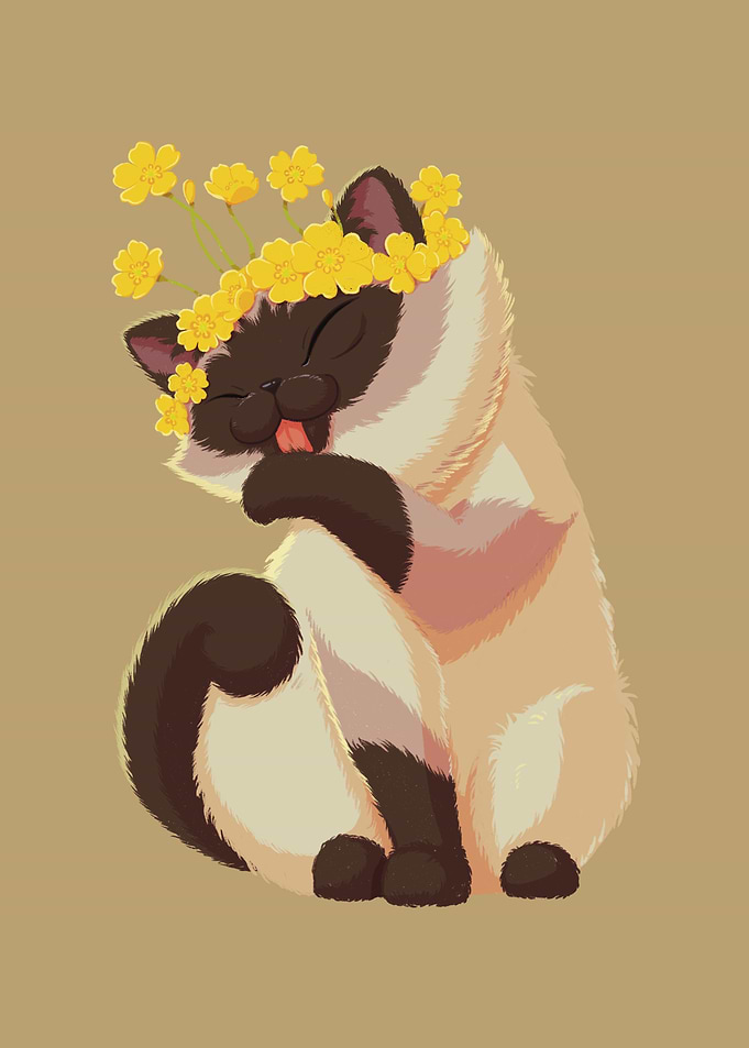 Buttercup Flower Cat