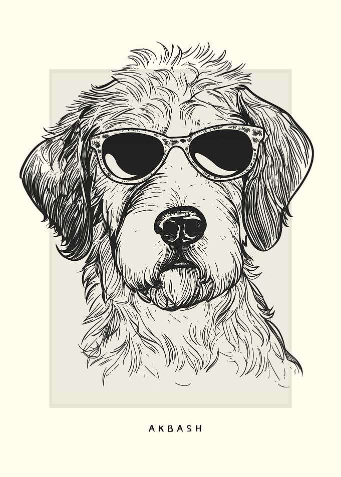 Akbash Illustration