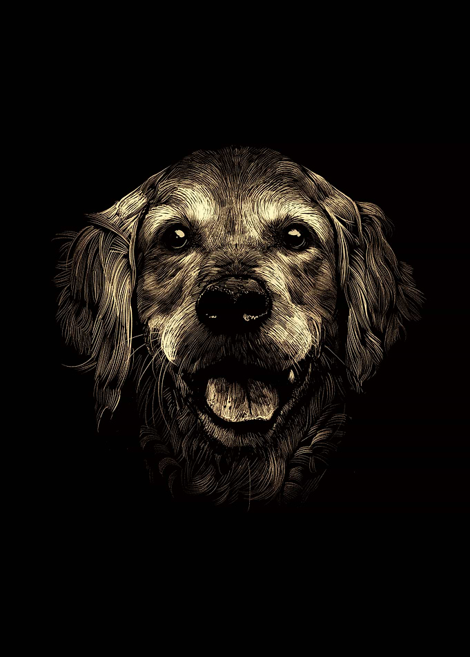 Golden Retriever Art