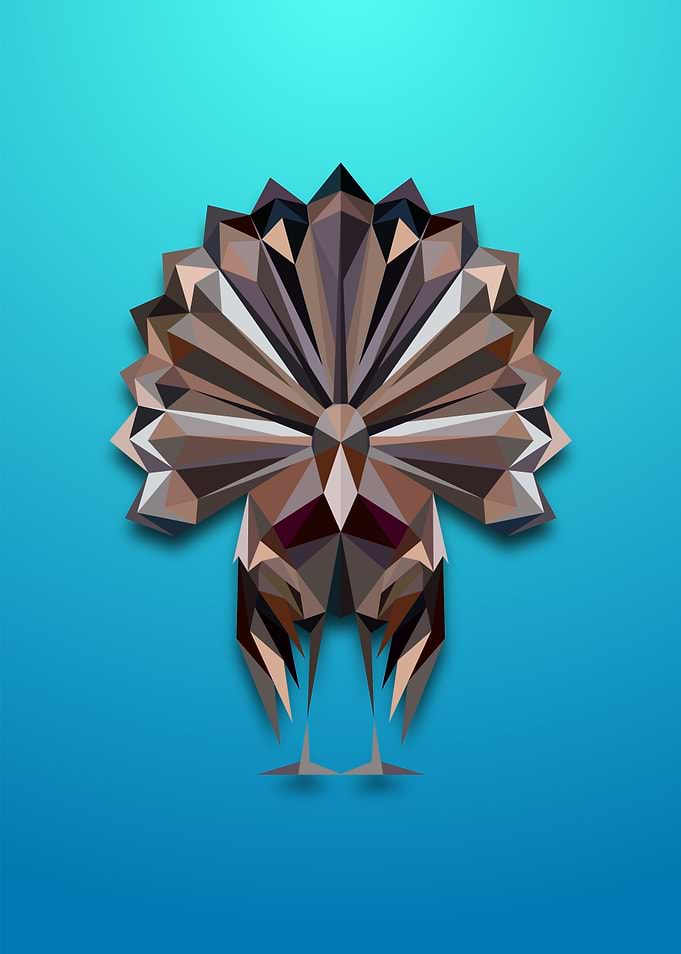 Turkey Lowpoly Art