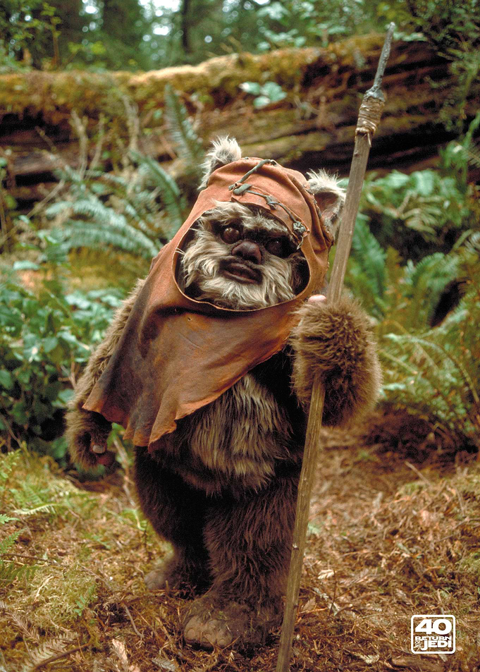 Ewok 1