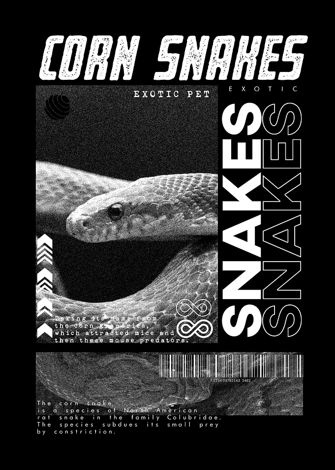 Corn Snake Modern