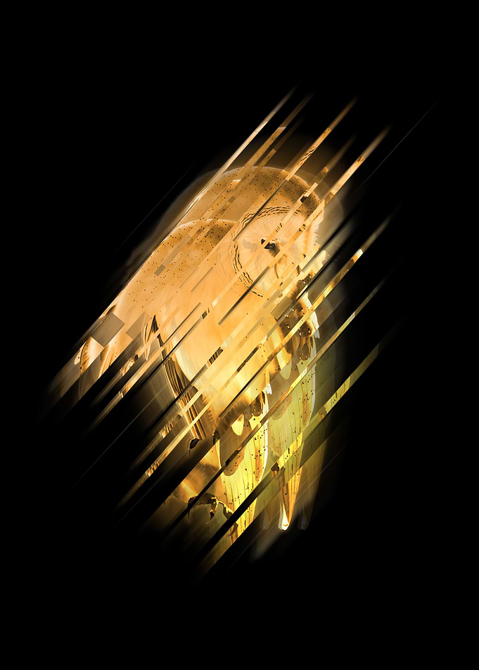 Gold Barn Owl