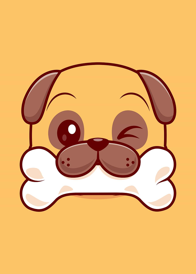 PUG CUTE FACE