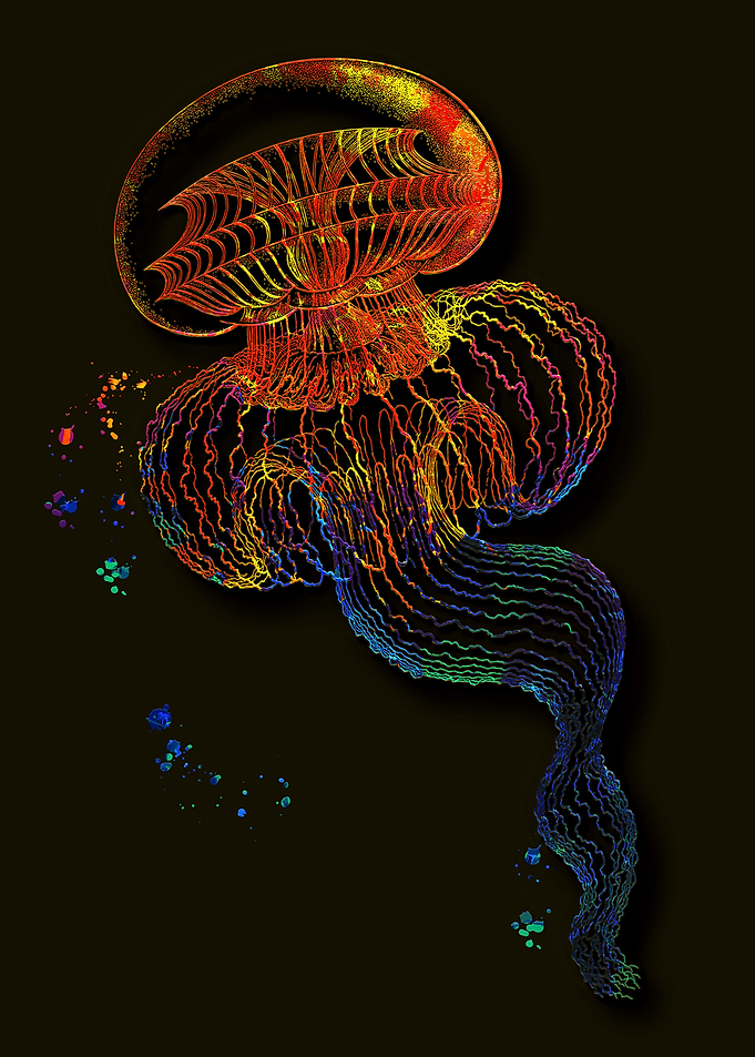 Jellyfish Art