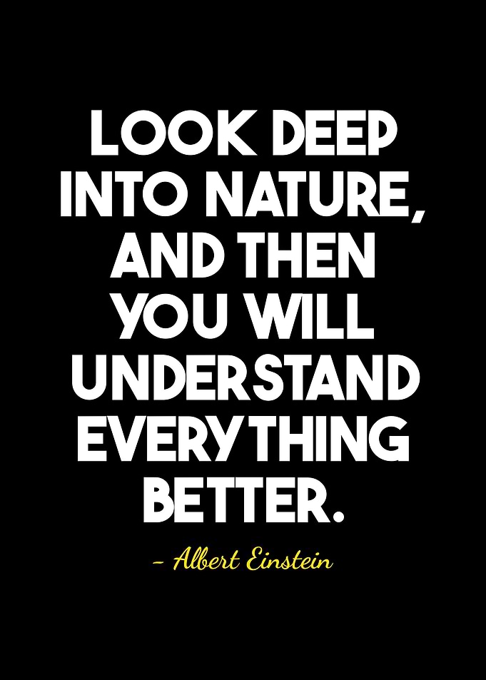 quote Albert Einstein