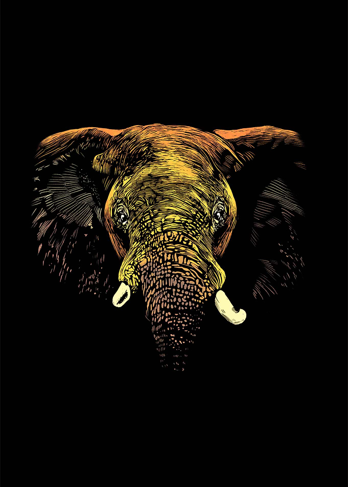 Colorful Elephant Design