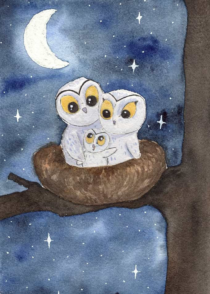 Family owl at night