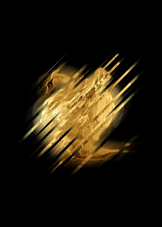 Gold Swan