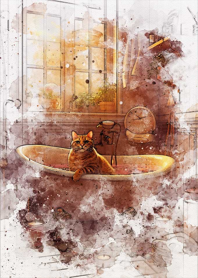 Cute Cat Bathroom