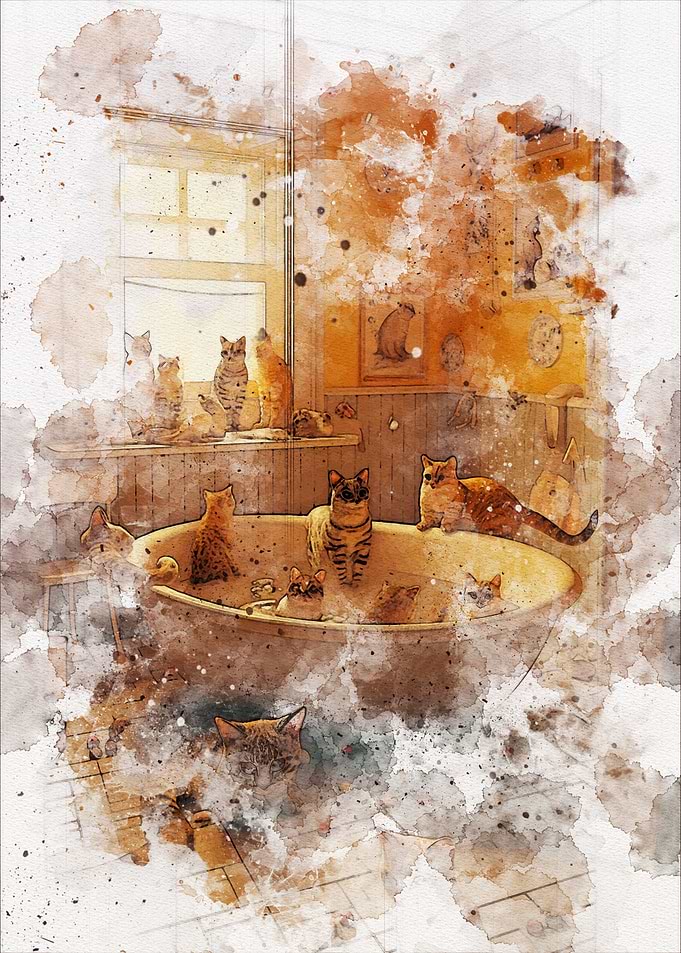 Cute Cat Bathroom