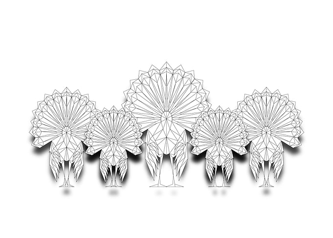 Turkeys Lowpoly Wireframe