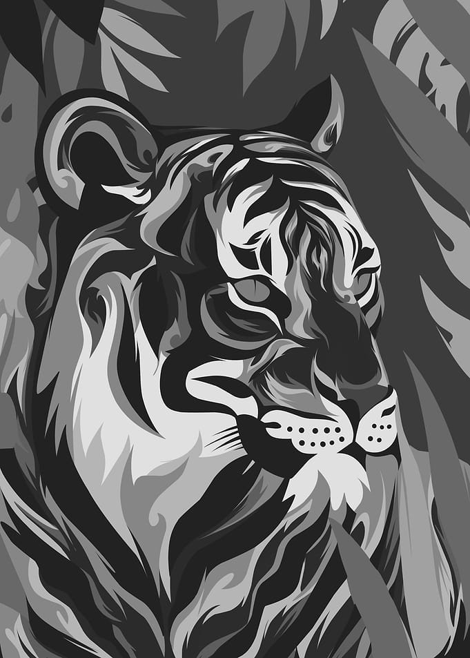 black tiger