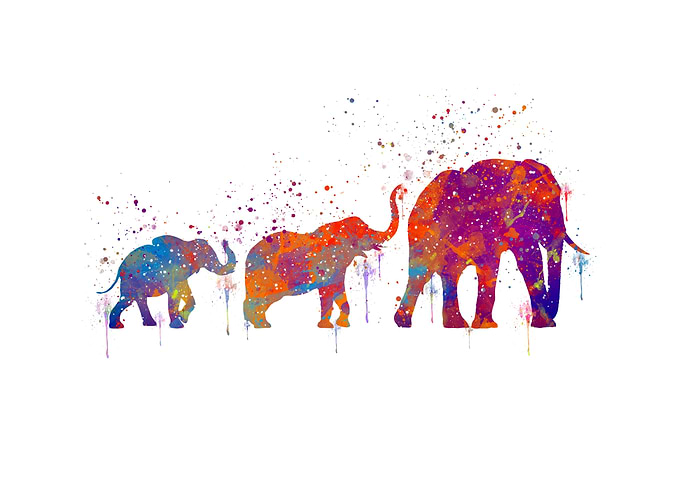 ELEPHANT FAMILY