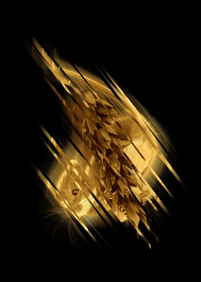 Gold Dormouse