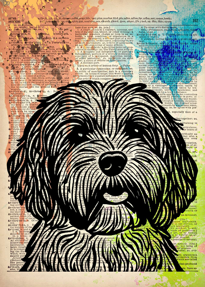 Cockapoo dog line drawing