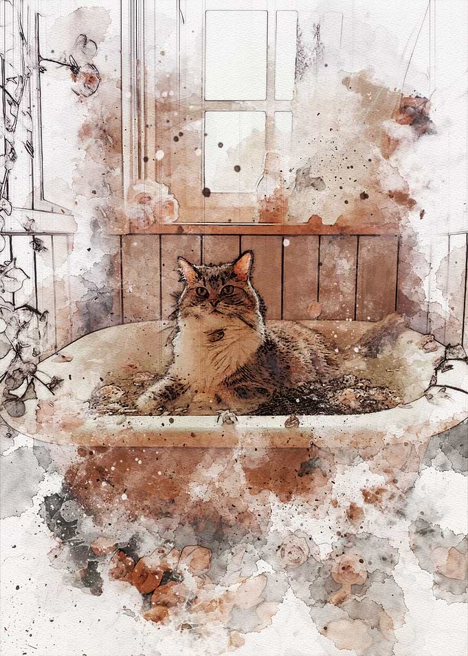 Cute Cat Bathroom
