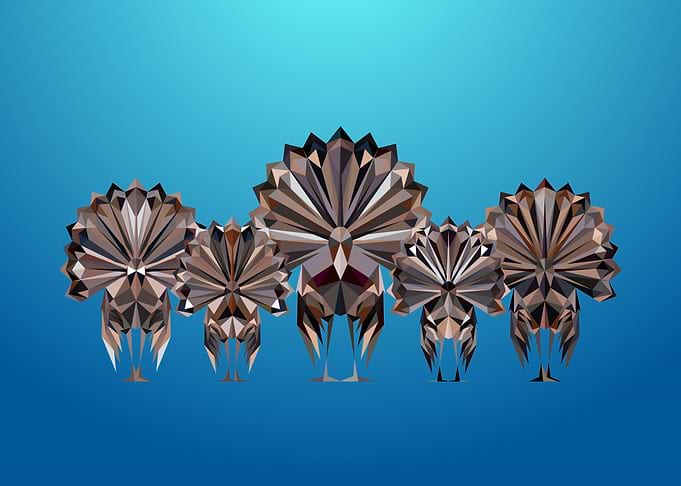 Turkey Packs Lowpoly Art
