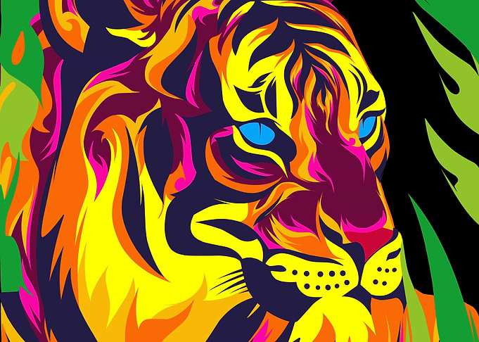 wild tiger animal