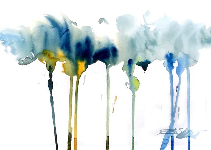 N510 Fleurs