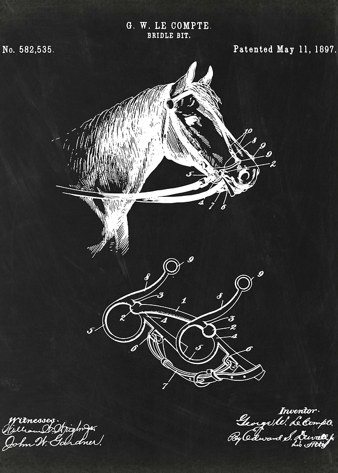 Bridle Bit patent