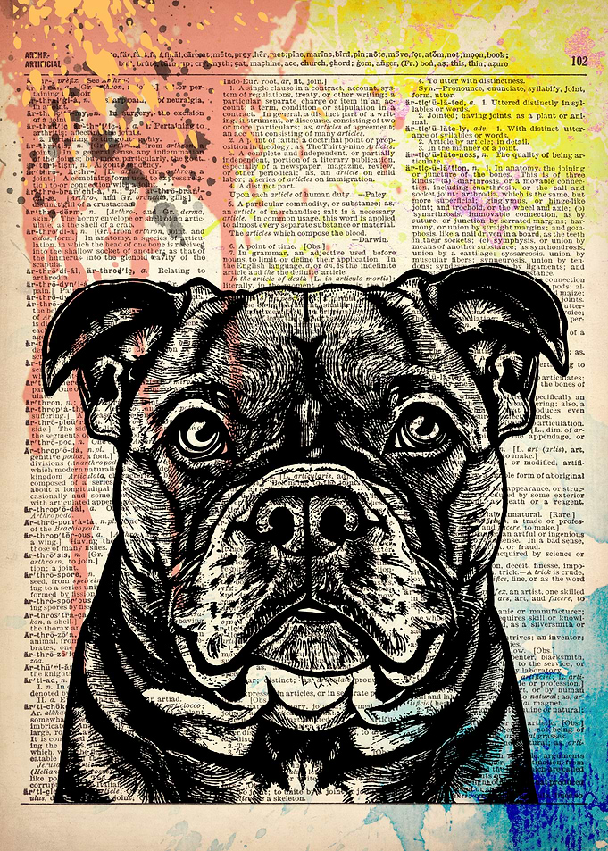 American Bully dog art