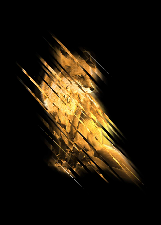 Gold Fox