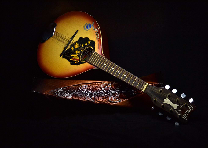 instrument round guitar