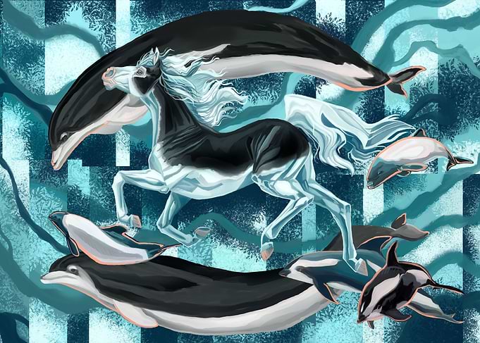 Equus Cetus Splash Pinto