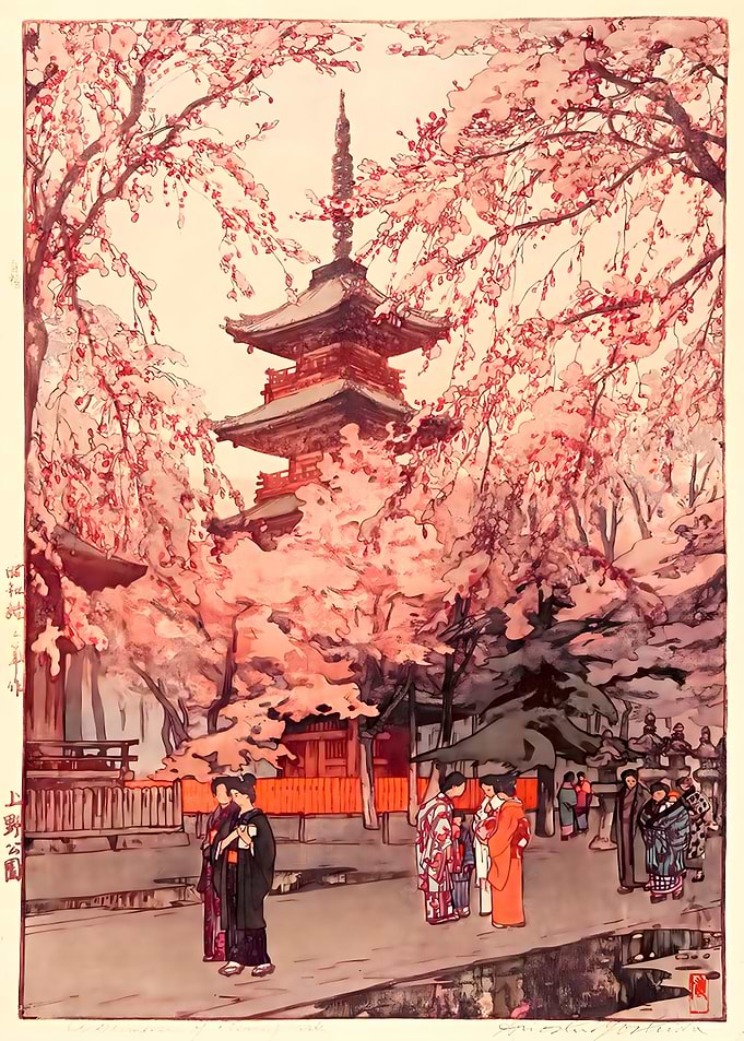 Spring Day Cherry Blossom