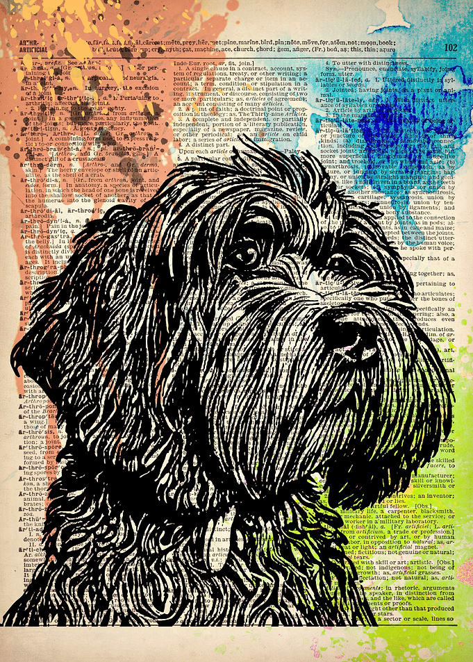 Cockapoo line drawing art
