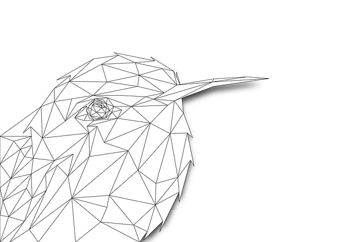 Hummingbird Lowpoly Frame
