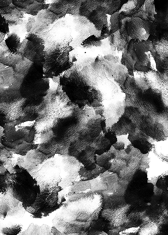 Monochrome Symphony