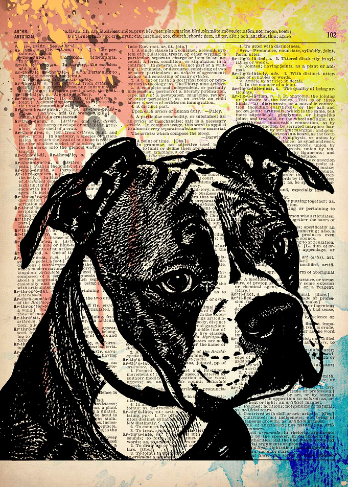 American Bully dog art