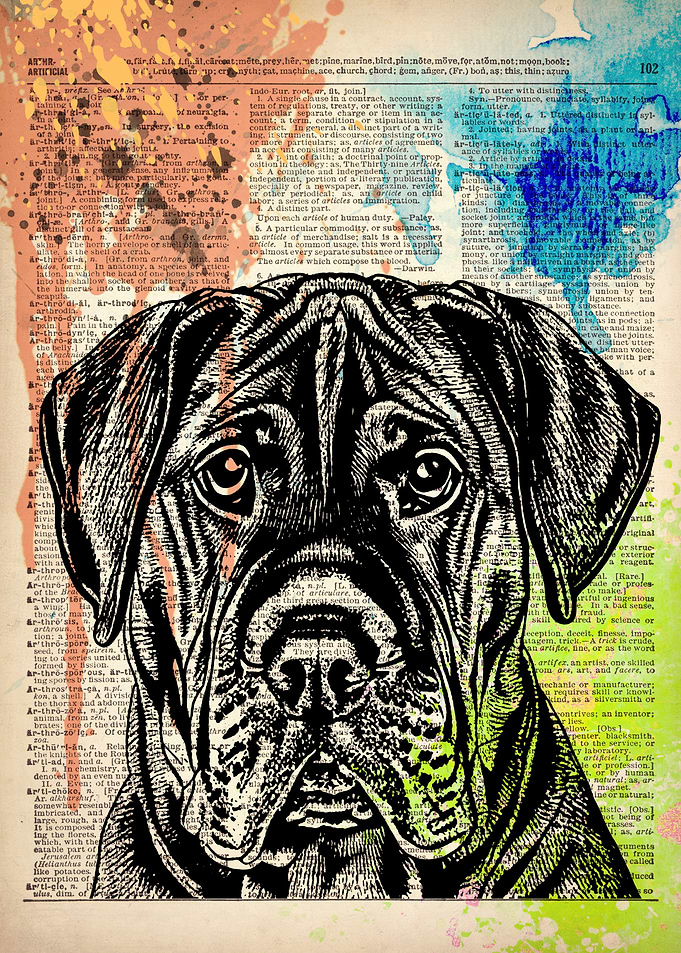 Boerboel Dog line drawing