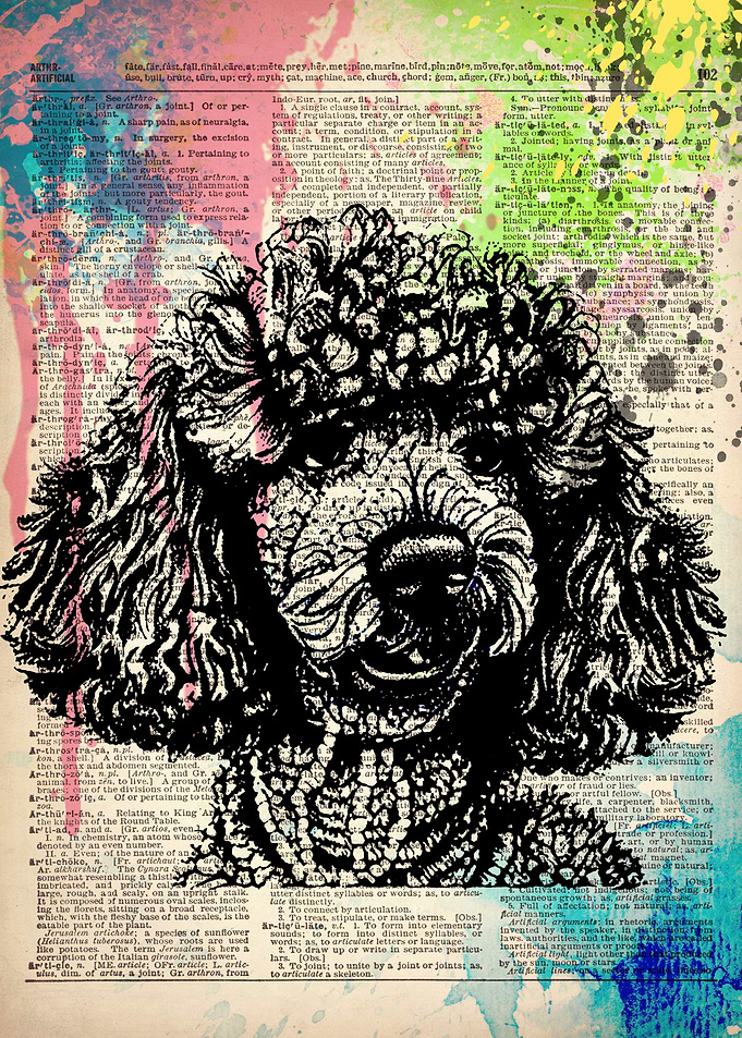POODLE DOG ILLUSTRATION